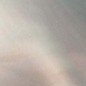 Meet your Posher, Abigail